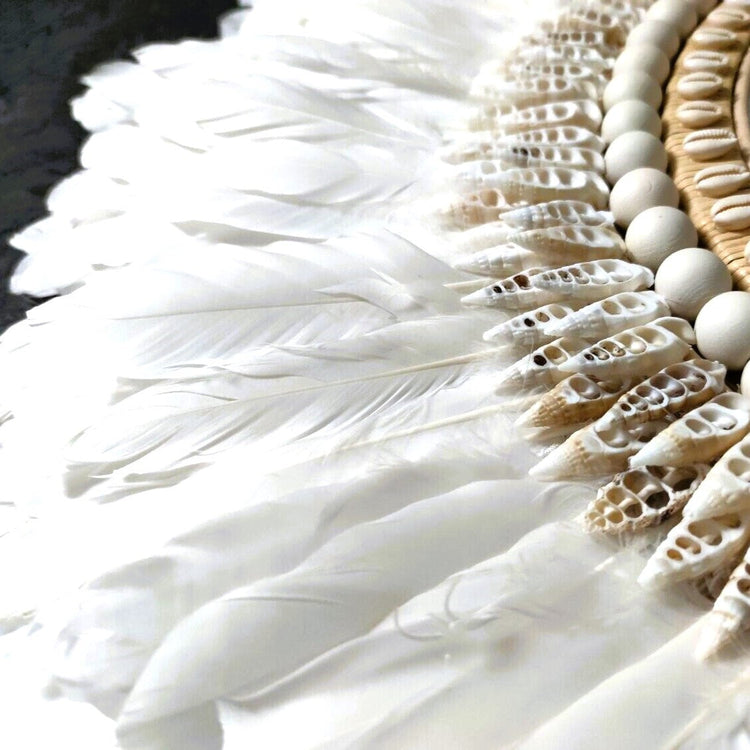 Espejos de plumas