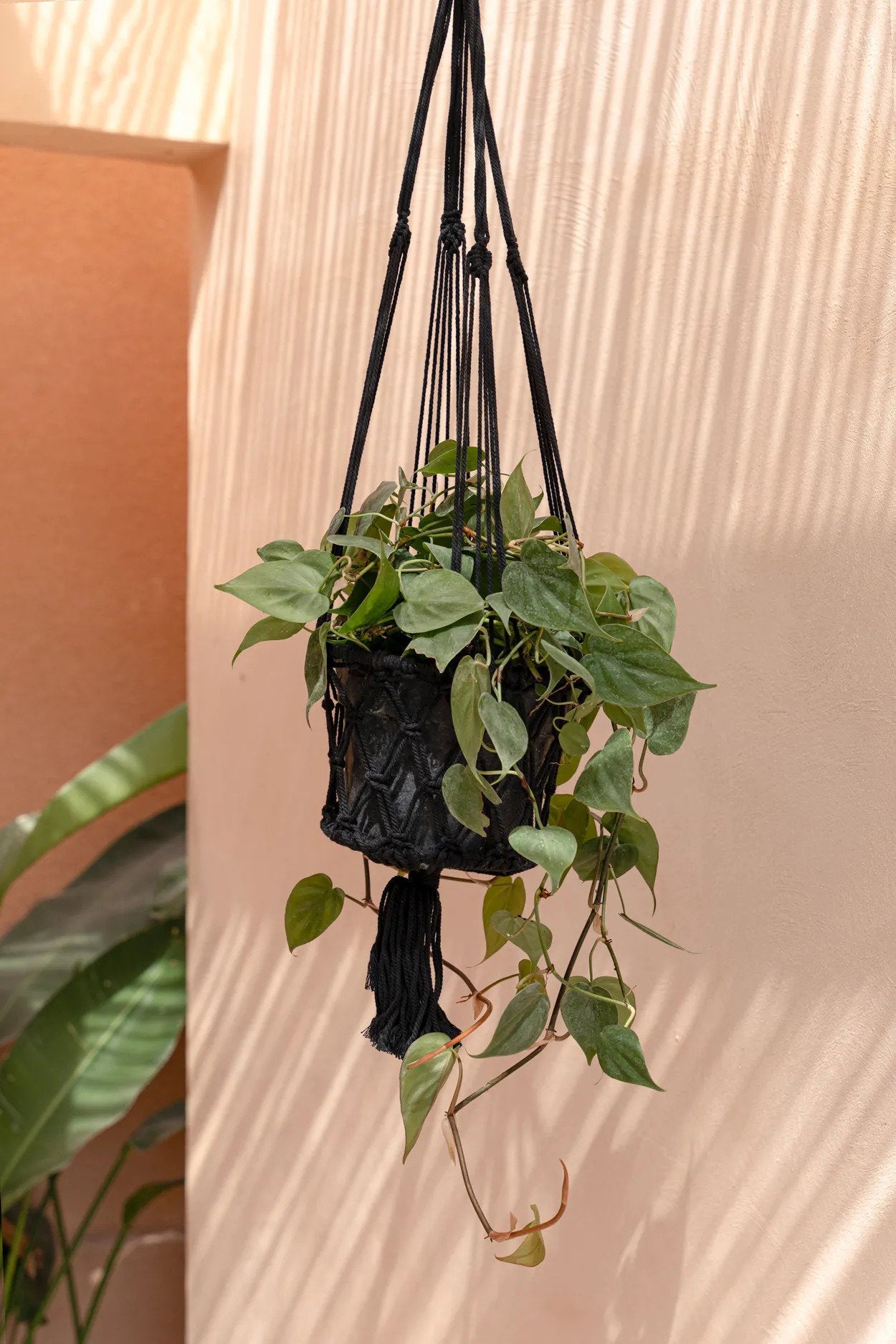 The Macrame Plant Holder - Black - M_40