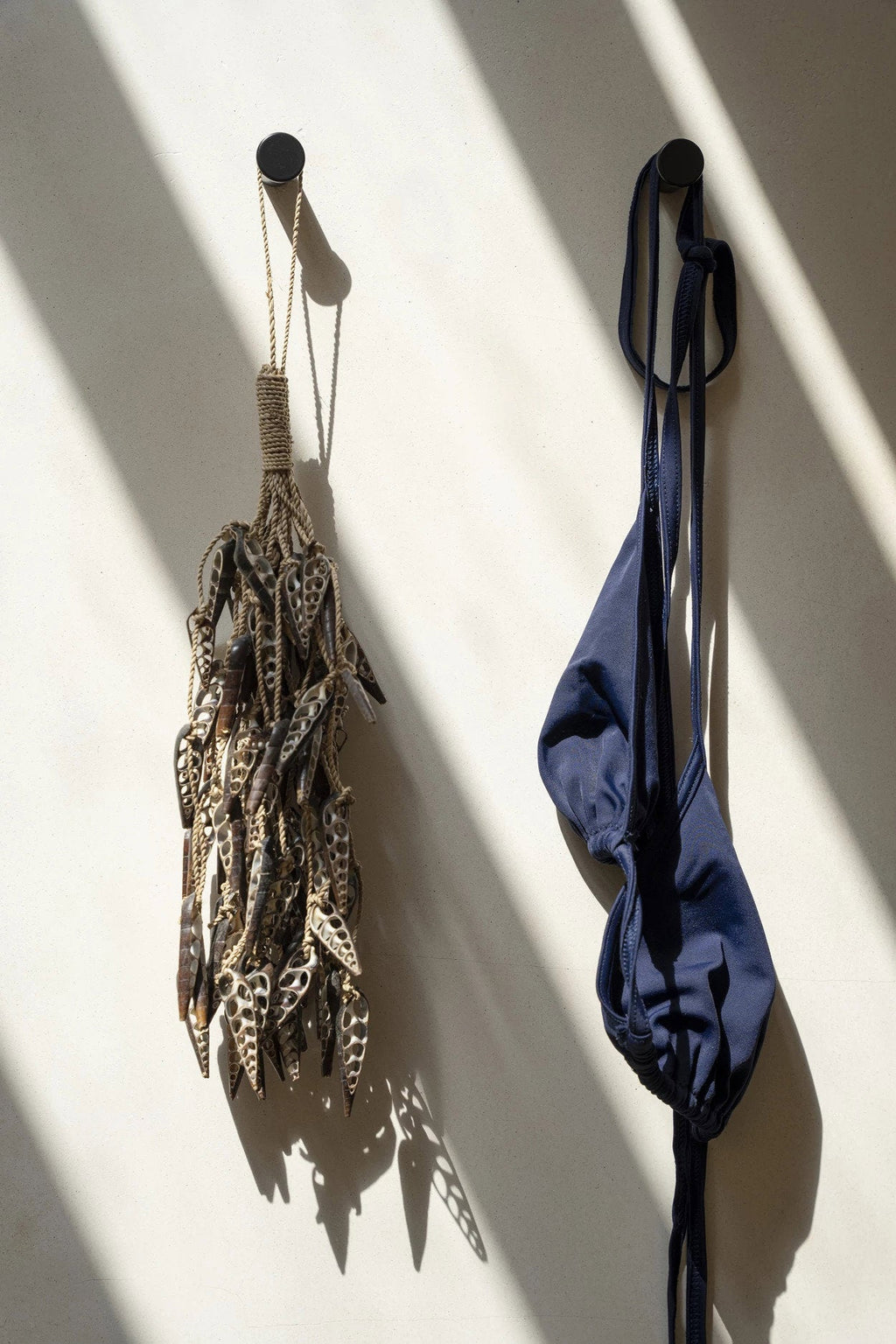 Borla de concha de unicornio - marrón