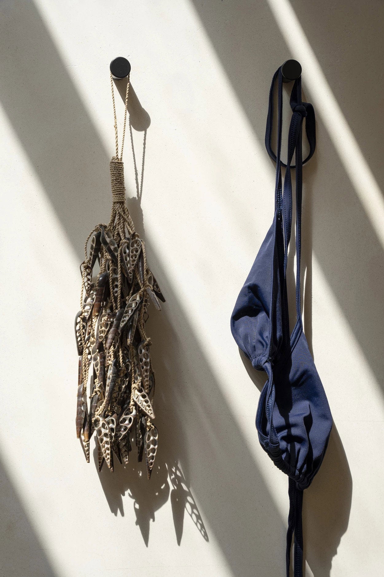 Borla de concha de unicornio - marrón