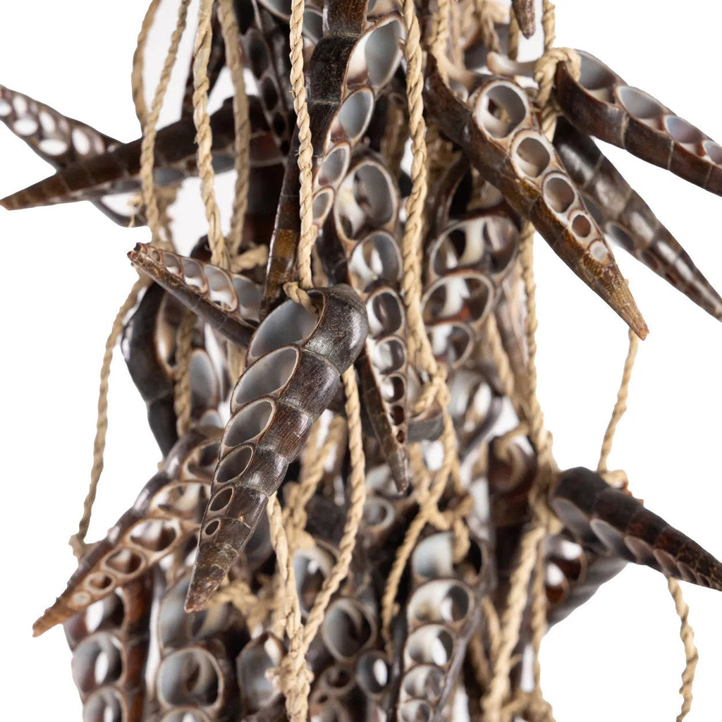 Borla de concha de unicornio - marrón