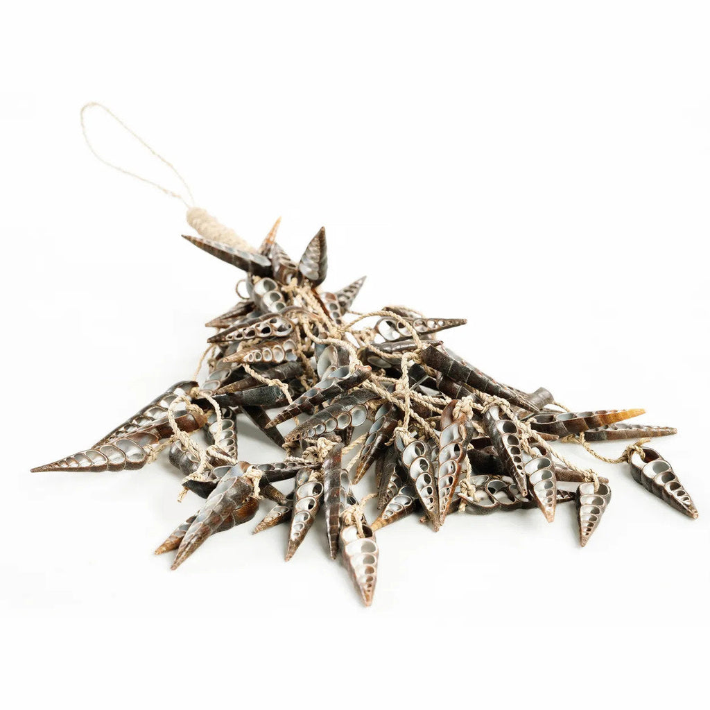 Borla de concha de unicornio - marrón