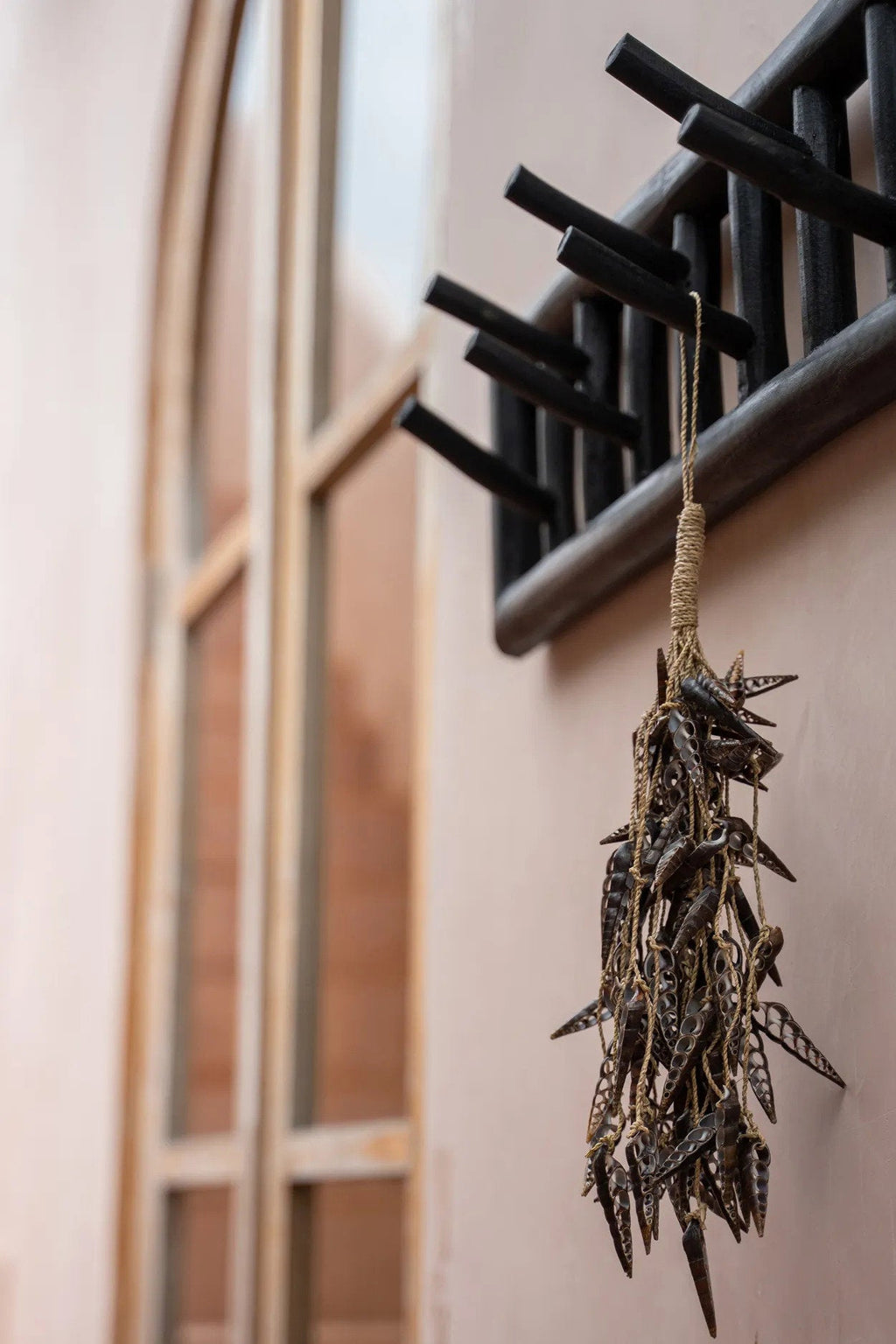 Borla de concha de unicornio - marrón