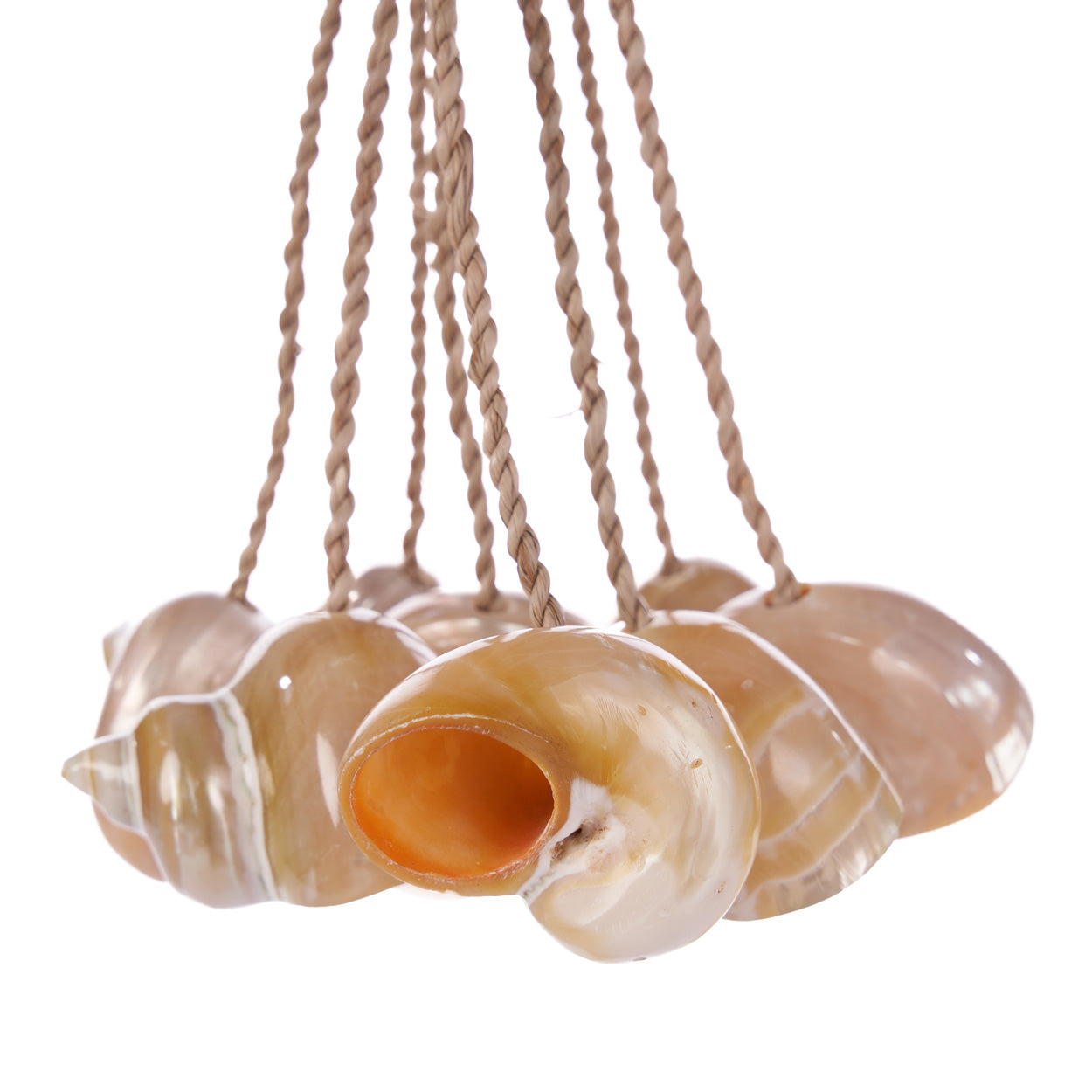 Borla de caracola - Natural