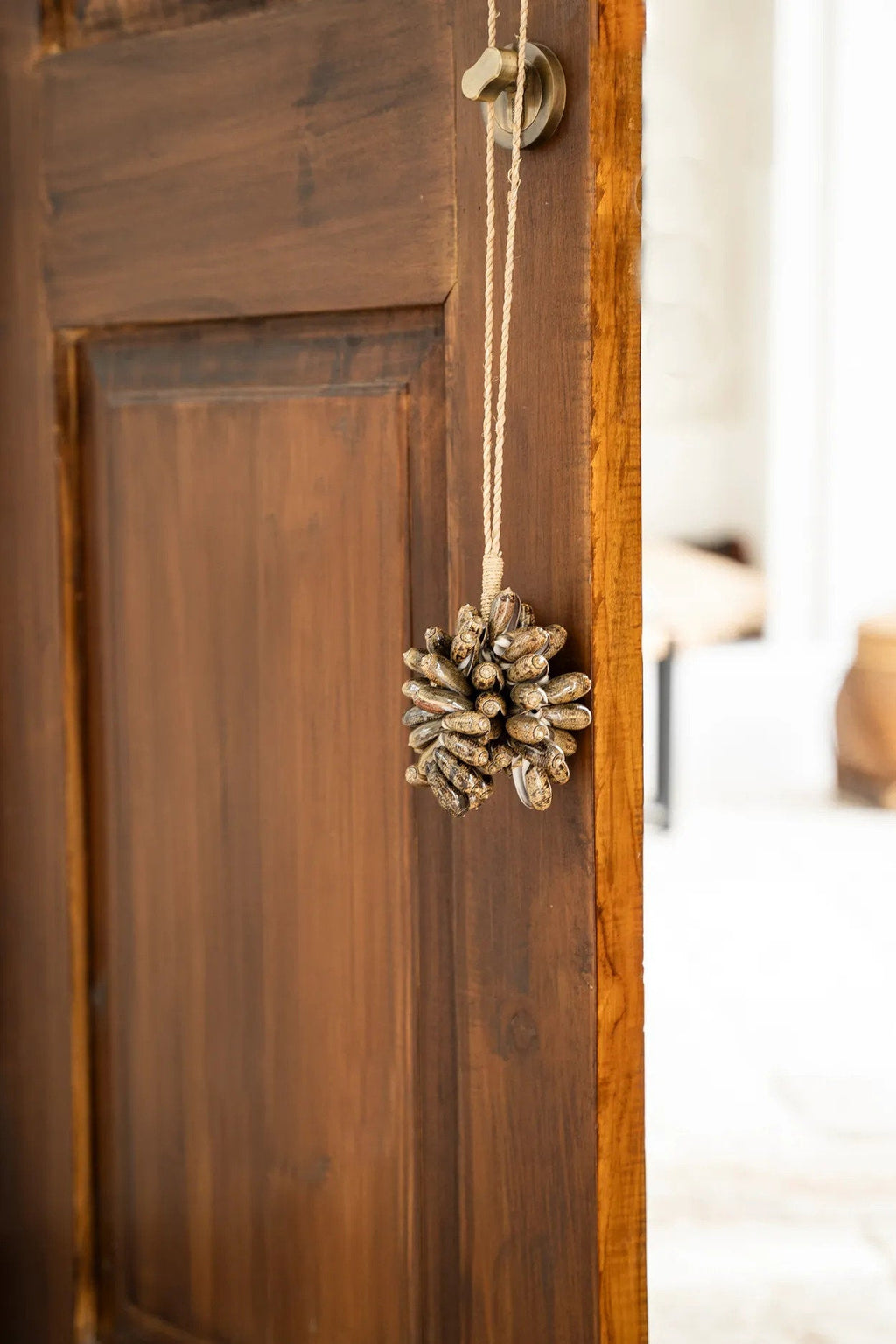 The Brown Cowrie Shell Tassel