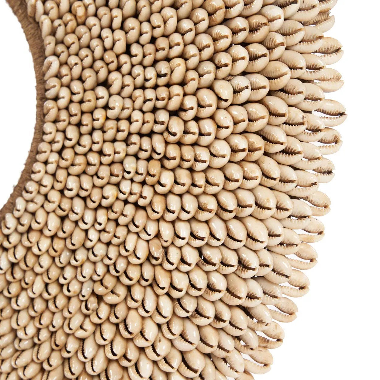 The Shell Réunion on Stand - Natural