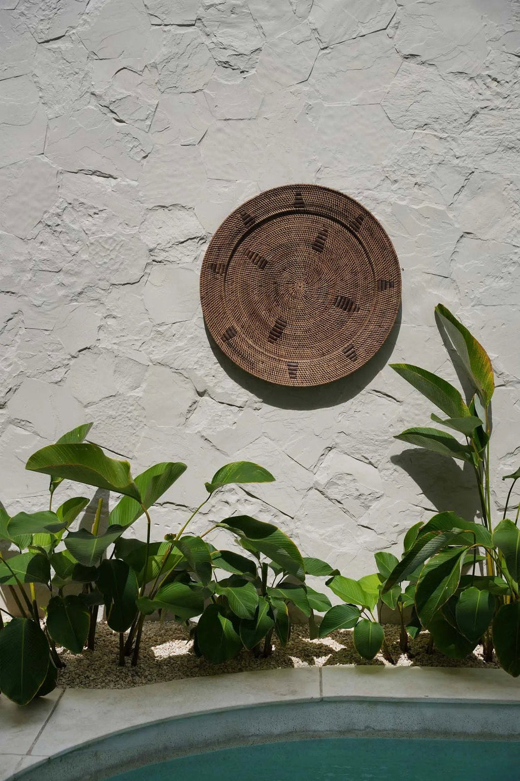 El Plato Jazmín - Marrón - L