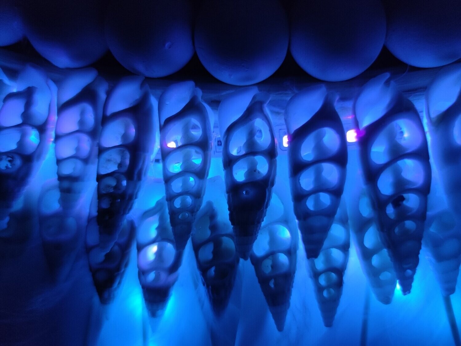 ESPEJO DE PLUMAS blancas y conchas bimbi - Diámetro 95 cm