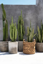 The Banana Zigzag Basket - M