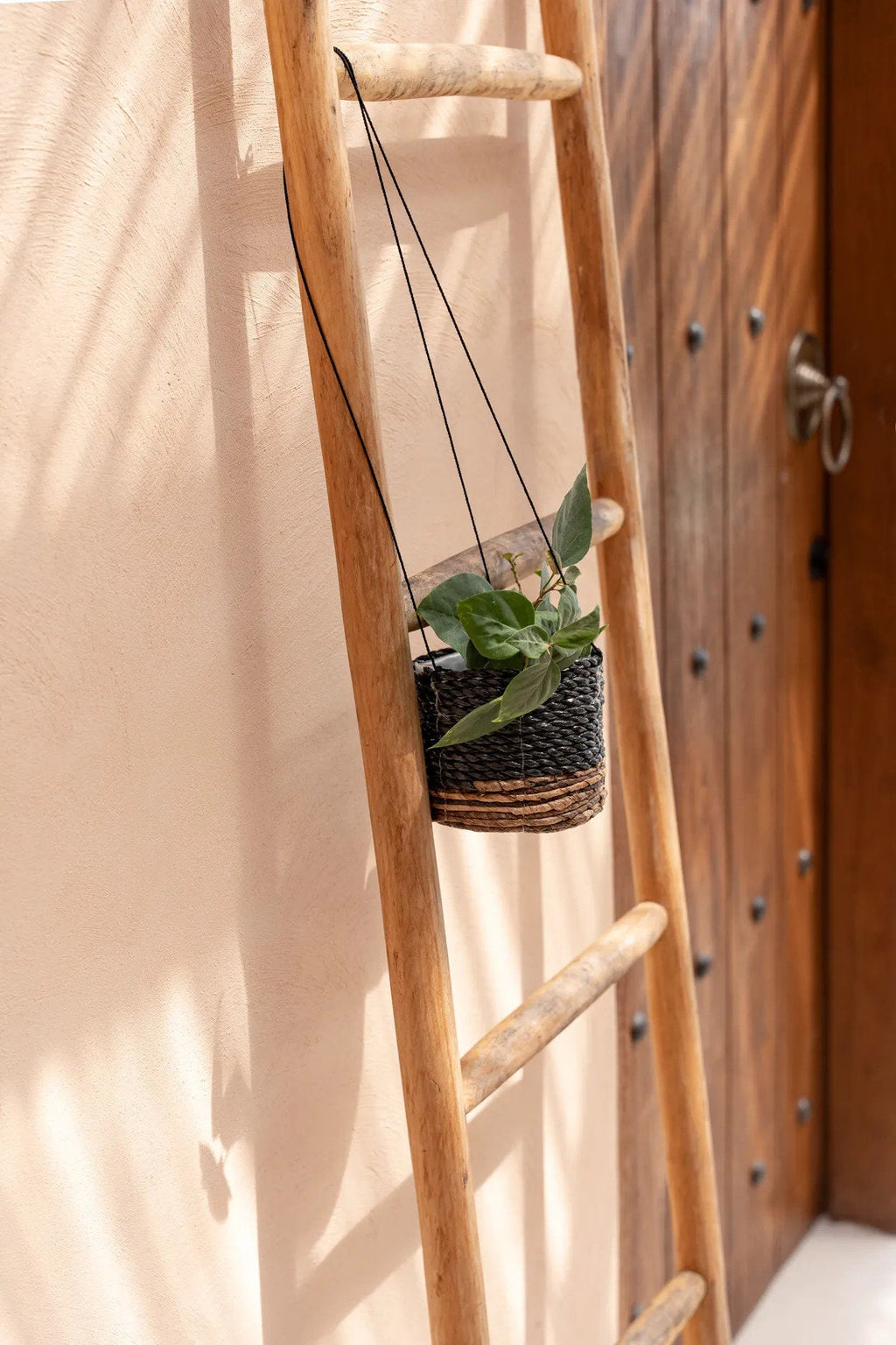 The Banana Plant Hanger - Natural Black - S