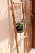 The Banana Plant Hanger - Natural Black - S