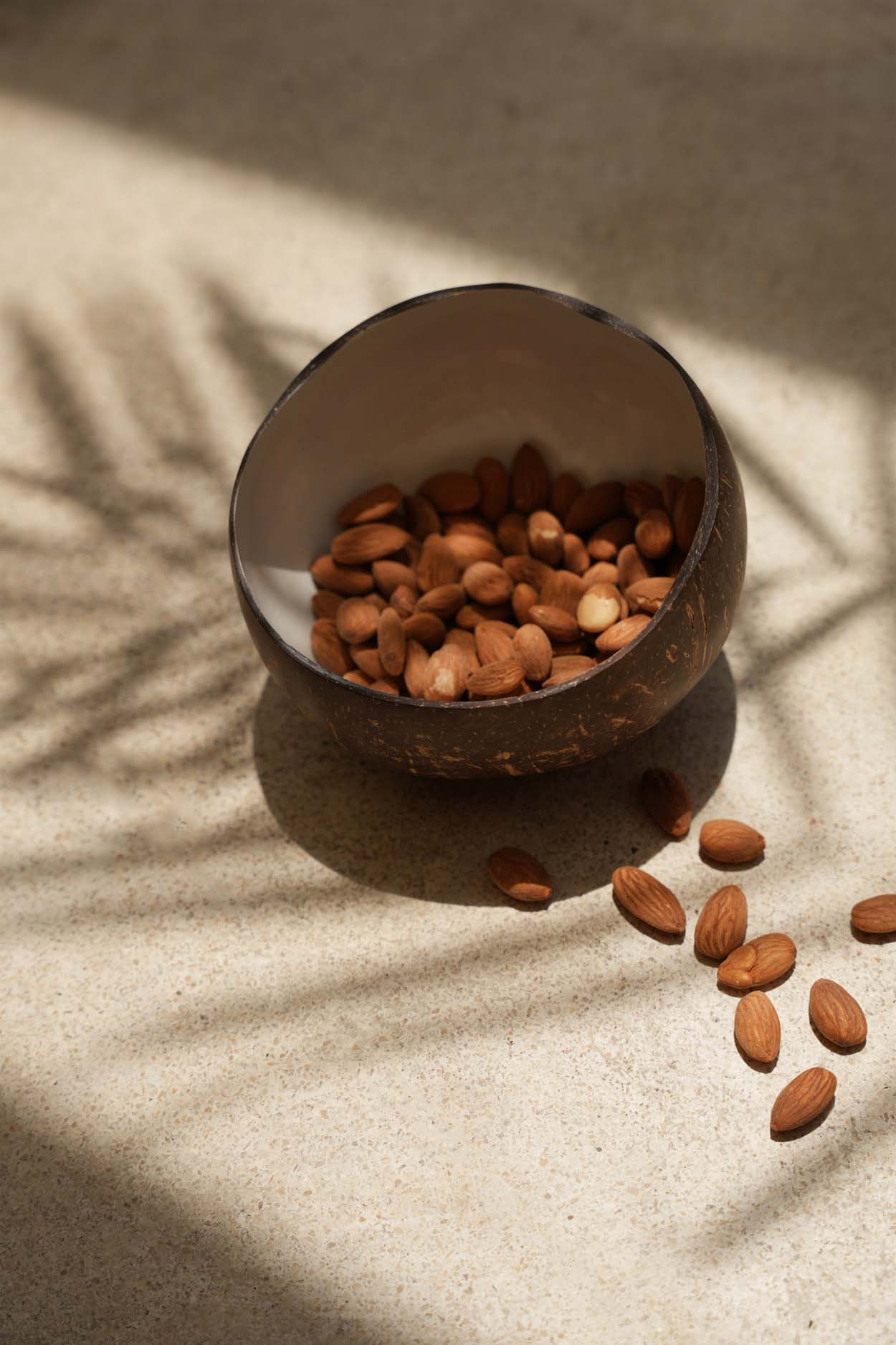 Bol alimentaire Coco - blanc naturel