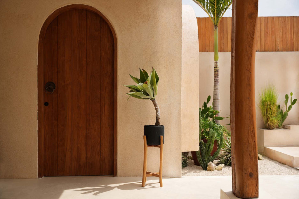 The Charcoal High - Negro natural - L