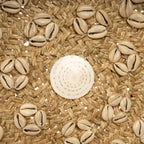 The Caribe Shell Plate - Natural White - M
