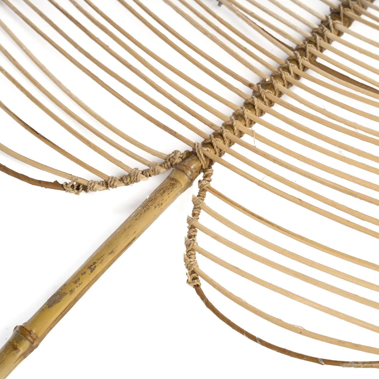 La Monstera de ratán - Natural