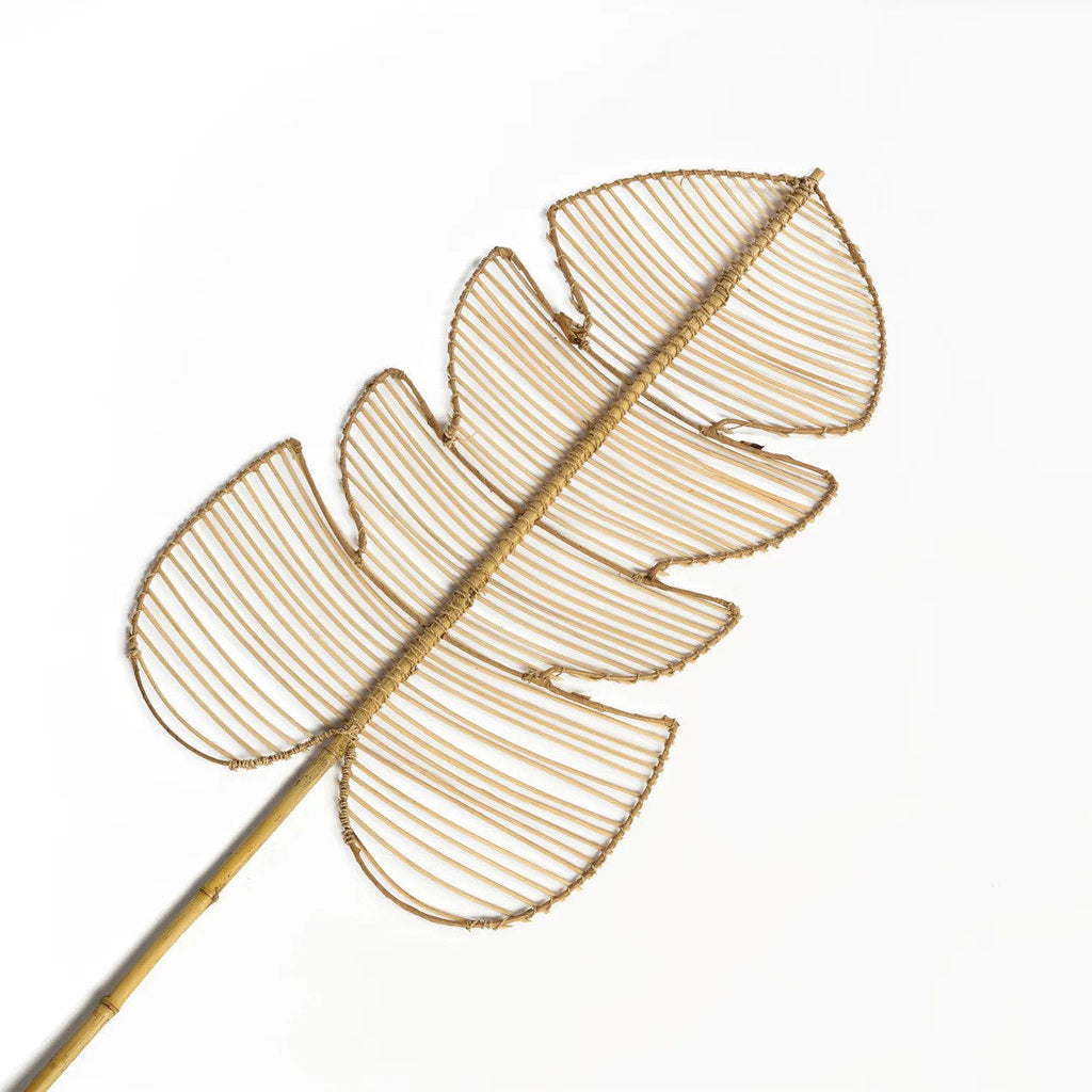 La Monstera de ratán - Natural