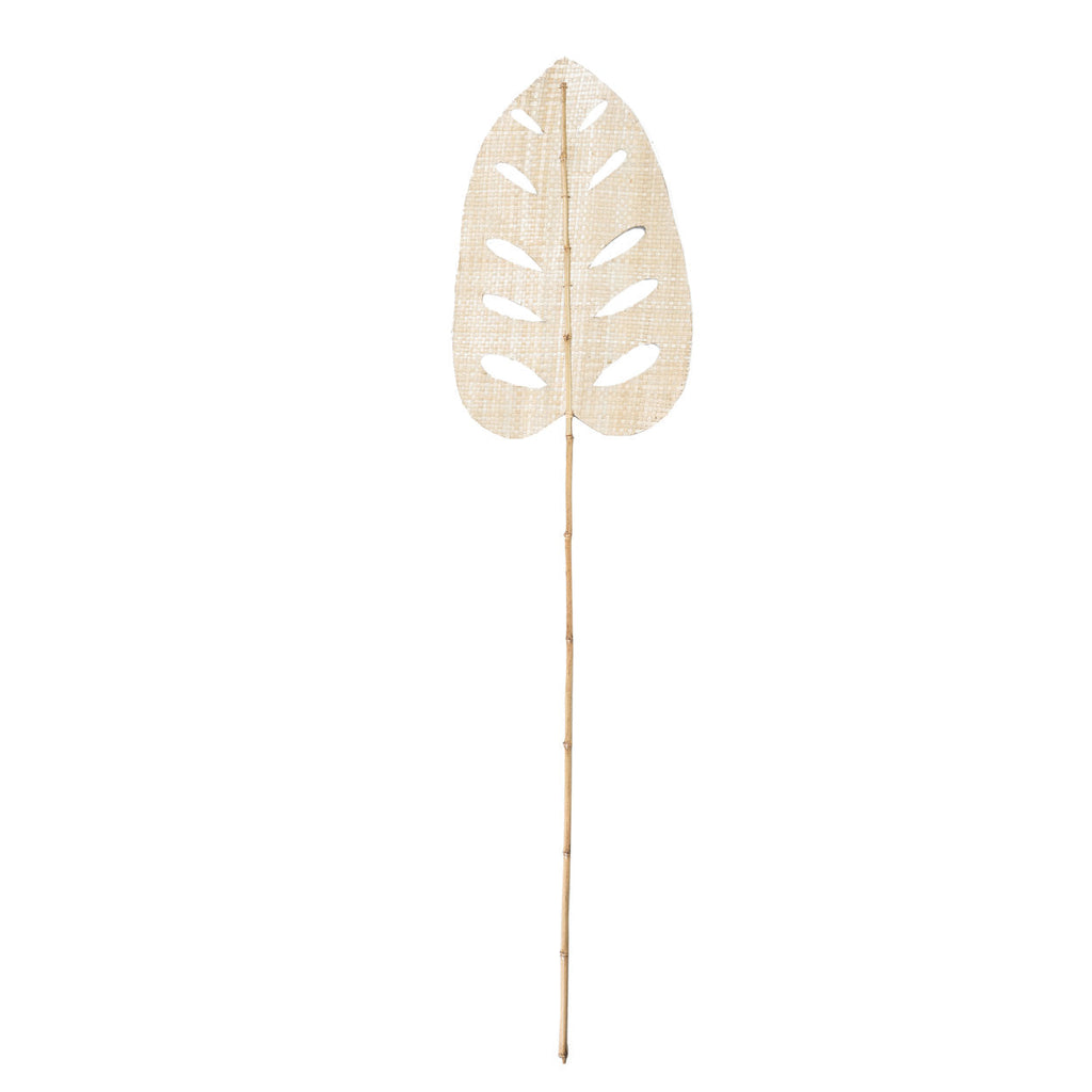 The Water Hyacinth Leaf - Natural