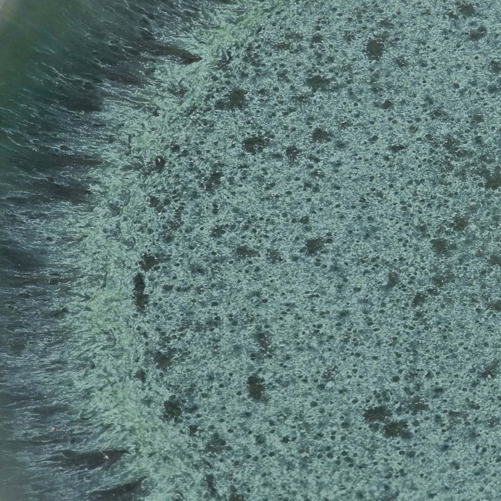 The Aqua Dinner Plate - Set of 4