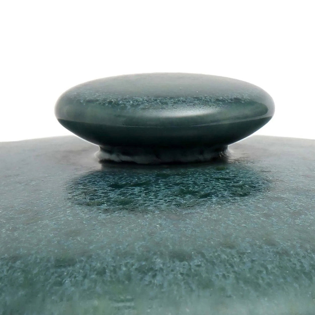 La olla de guiso Aqua