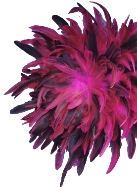 Jujuhat “Fuchsia Eclipse”